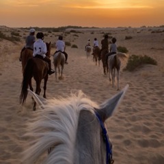 فــزاع - راشد المـاجد الله علـيك