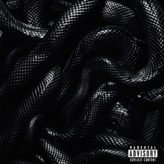 SN8KE (ft.Runitskai x Wickk ) x (prod.wysa)