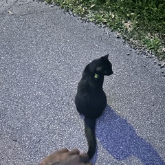 PUSHER  Vintage ⭑☽ OMITU