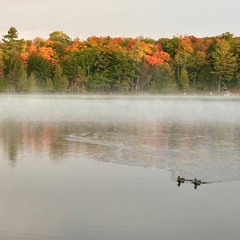 Autumn 2024