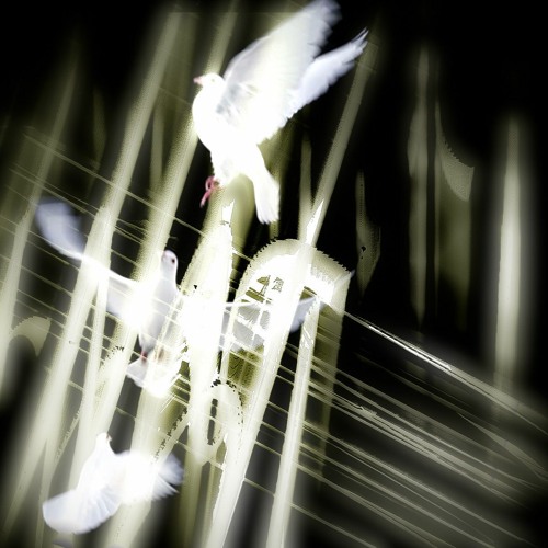 Planes (prod. 0nul.I000 + mssng)