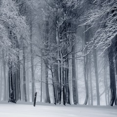 The cold and ethereal wanderlusts - Binaryman [Ambient] (70 - 80 bpm)
