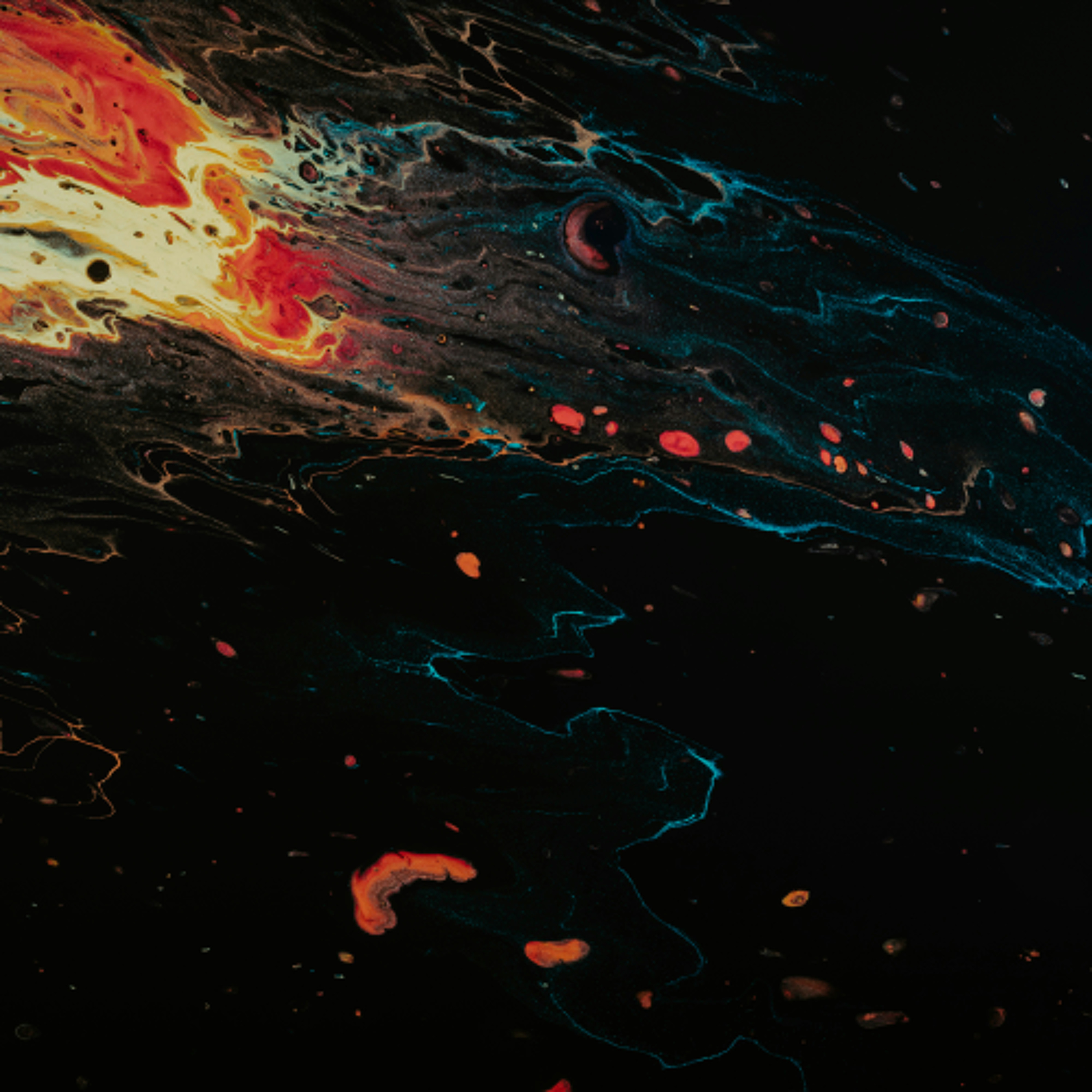 You cannot compromise with bigotry - Nicholas Mitchell