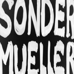 sondermueller @ Dreikantholz Feb 2020