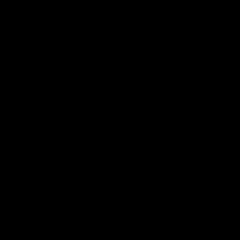 Vanta Black