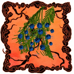 FRUITCAST #31 | tanz franz | the juniper berry potion