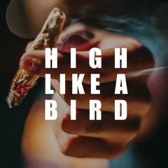 High Like A Bird