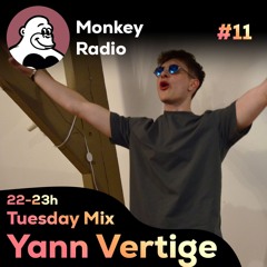 Yann Vertige - Live Monkey Radio #11 (Afro & Melodic House Mix)