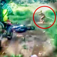 GOBLIN TRUTH REVEALED!