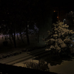 если бы знала