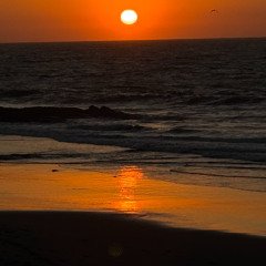 SALSITA SENSUAL X NANDO DJ