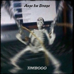 ARM IM DARM [TECHNO]