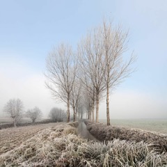 Ashot Danielyan - Angels Of Life (Pt. 2)