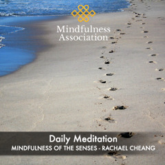 Daily Meditation - Mindfulness of Senses