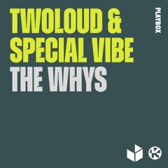 Twoloud & Special Vibe - The Whys (Robin Stoll Remix)