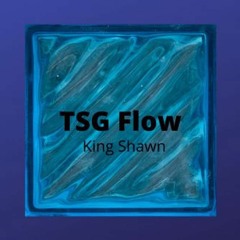TSG Flow (OFFICIAL) AUDIO) - King Shawn
