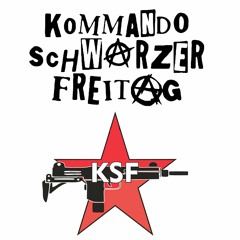KOMMANDO SCHWARZER FREITAG - Data Control (Brigade Nero Demo)