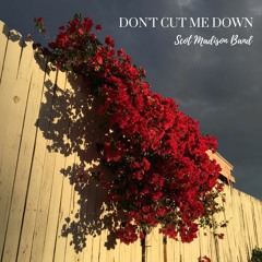 Don't Cut Me Down Album - Scot Madison Band