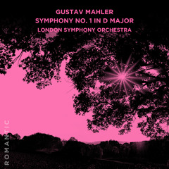 Symphony No. 1 in D Major: IV. Stürmisch bewegt