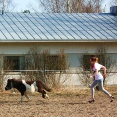 INTRO YleX Xmix 5.2.2021 - By Dj hapan korppu