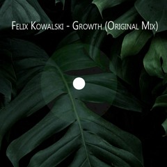 Growth (Original Mix)