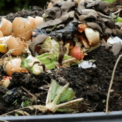 Swachagraha -Season 2 Composting From Gardan With Lalitha RJ Priyanka