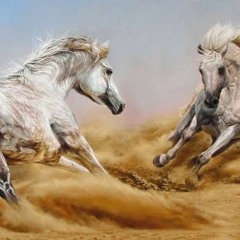 Effectrix Vs. Sixsense - Arabian Horses ( 2020) - NEW