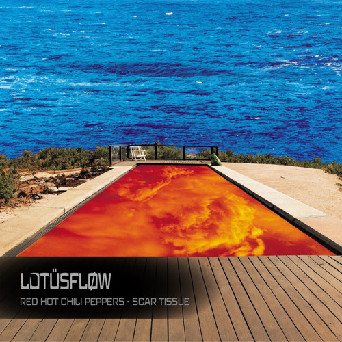 洋楽 RED HOT CHILI PEPPERS/SCAR TISSUE Red Hot Chili Peppers - Scar Tissue [Official Music Video