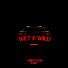 Wet & Wild (album Teaser)