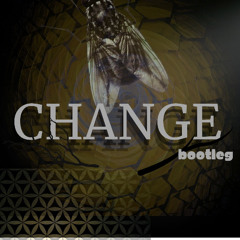 CHANGE (deftonesbootleg)
