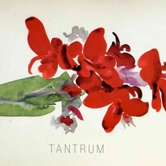 Tantrum, for piano