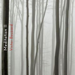 Meditation 2