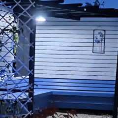 Martin Bird - No Reason