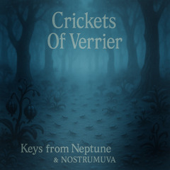 Crickets Of Verrier