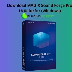 Download MAGIX Sound Forge Pro 16 Suite for (Windows)