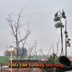 Feels like Sunday Morning