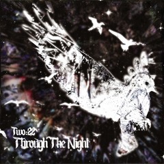 through the night (prod. mantra)