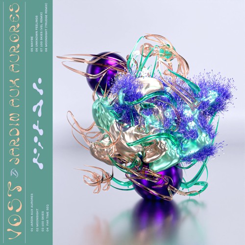 VOST - Jardin Aux Aurores EP Snippets OUT ON NOV 25TH