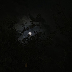 ‎⁨سورة البقرة | القارئ هيثم الدخين|قراءة تريح القلب  ⁩