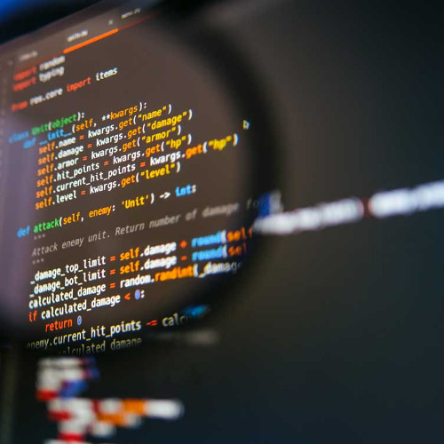 Website Development Services in the USA Building Digital Success