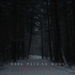 Dark Path, No Moon