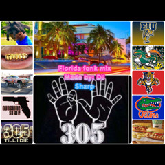 Dat Florida Fonk Bihh!! #Happy305Day