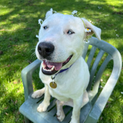 The Garden of Earthly Delights 4.2.25