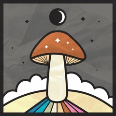 Mushroom Party 🍄
