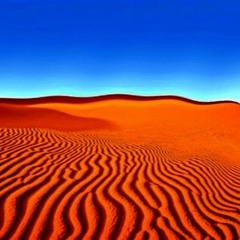 Dunes Of Arabia