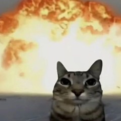 Zoio eu te desafio ser do bem!😮‍💨🙏