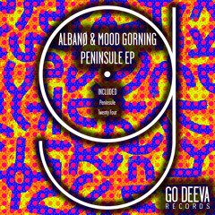 Albanø, Mood Gorning - Twenty Four (Original Mix)