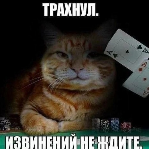 ПАНЦУШОТ - Мама, пожалуйста, не говори человеку-пауку, что я не съел утреннюю кашу