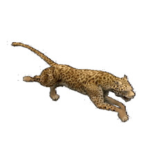 gulie  ‎ ‎ ‎ ‎ ‎ ‎ ‎ ‎ ‎ ‎ ‎  ‎ ‎ ‎ ‎ ‎ ‎ ‎ ‎ ‎ ‎ ‎ @y. @ykoops