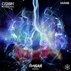Carbin ft. Mezzi Mae - Numb (TVNDRA Bootleg)